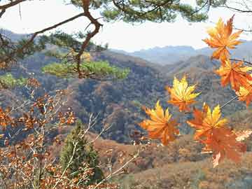 独山子区初中最新新闻