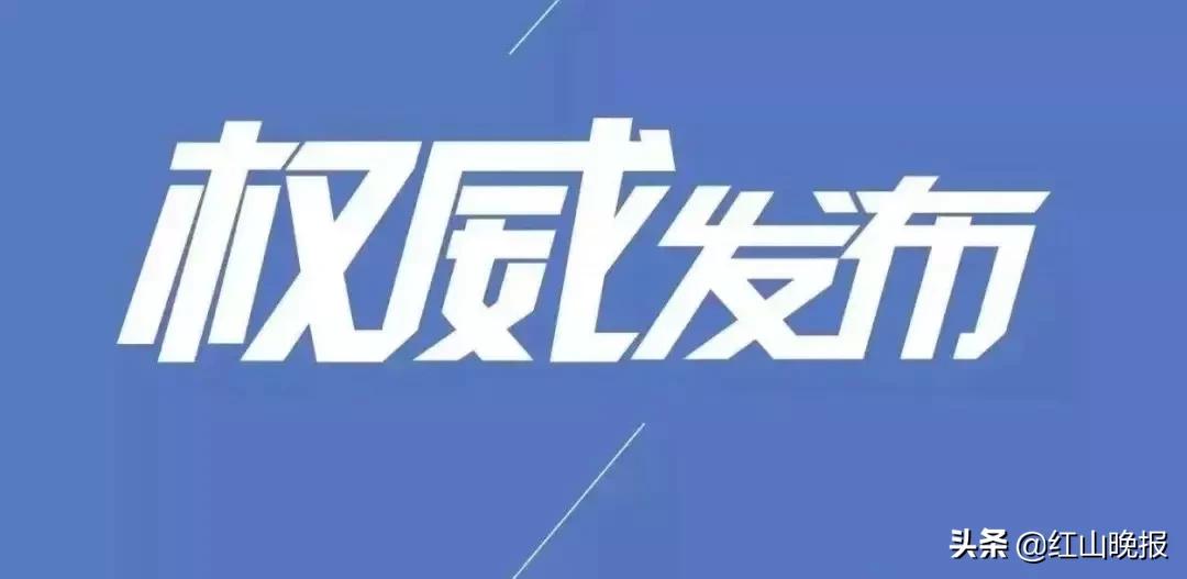 2024年12月10日 第10页