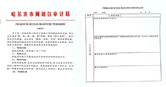 阿城区审计局最新招聘公告详解