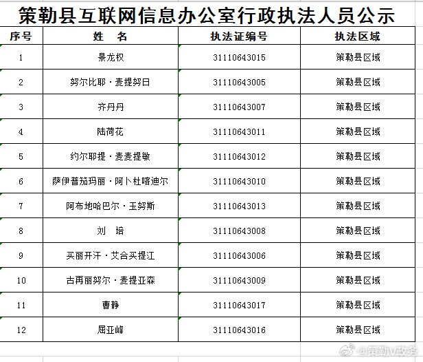 木垒哈萨克自治县数据和政务服务局发展规划深度探究