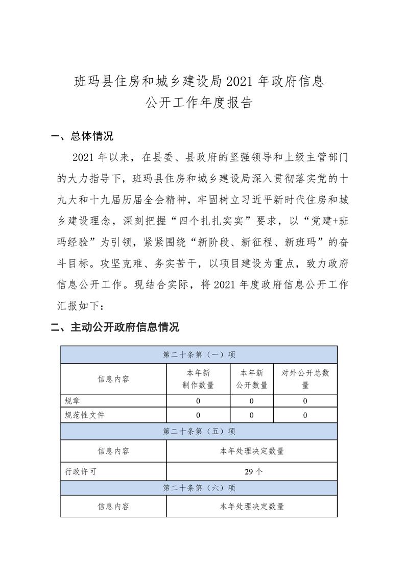 墨脱县数据和政务服务局发展规划深度探讨