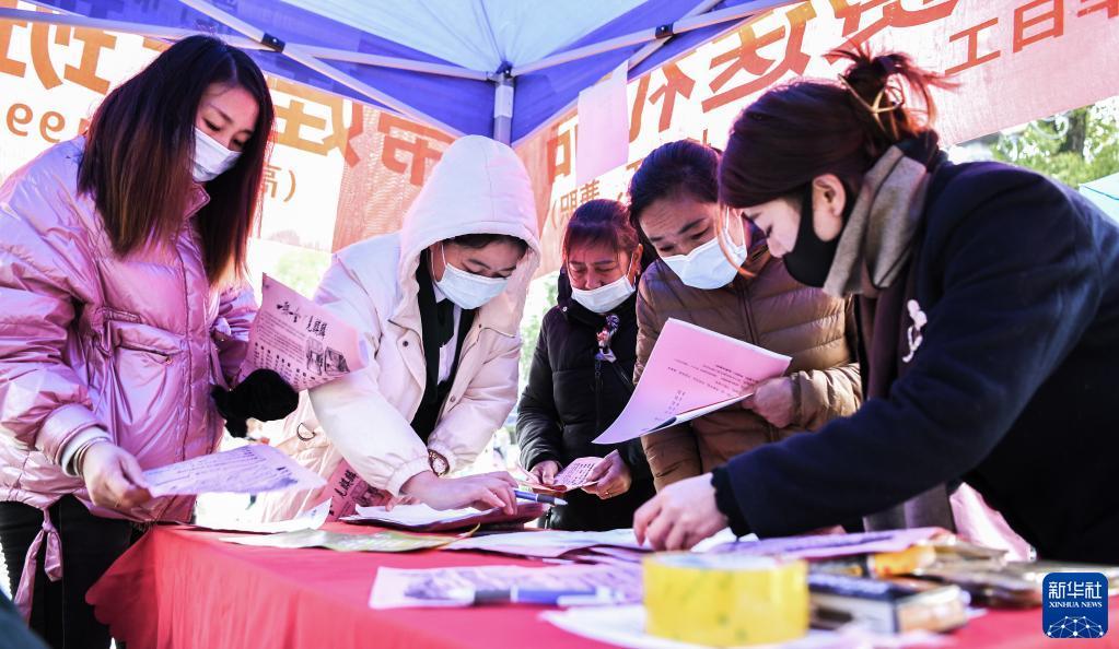 常宁市小学最新招聘启事概览