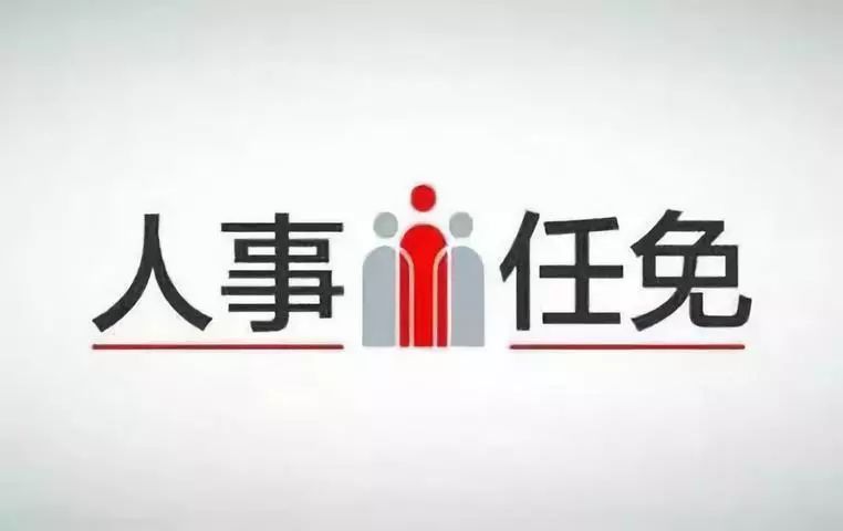 山亭区财政局最新人事任命，塑造未来财政新篇章