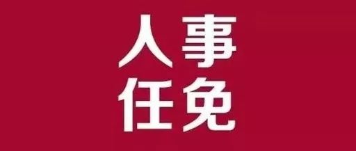 丹江口市审计局人事任命推动审计事业迈上新台阶