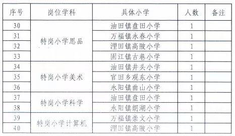 安居区小学最新招聘信息及其影响