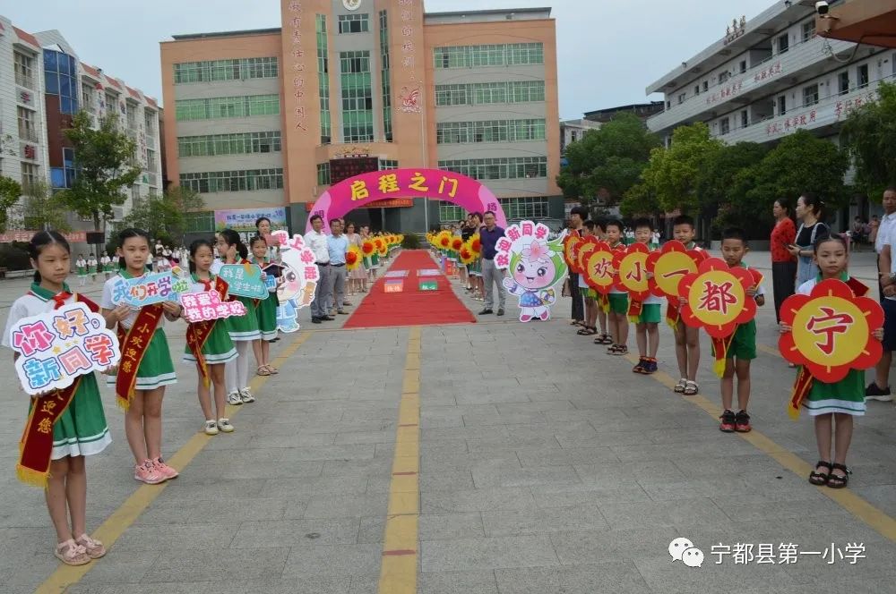 宁都县小学发展规划展望，未来教育蓝图揭秘