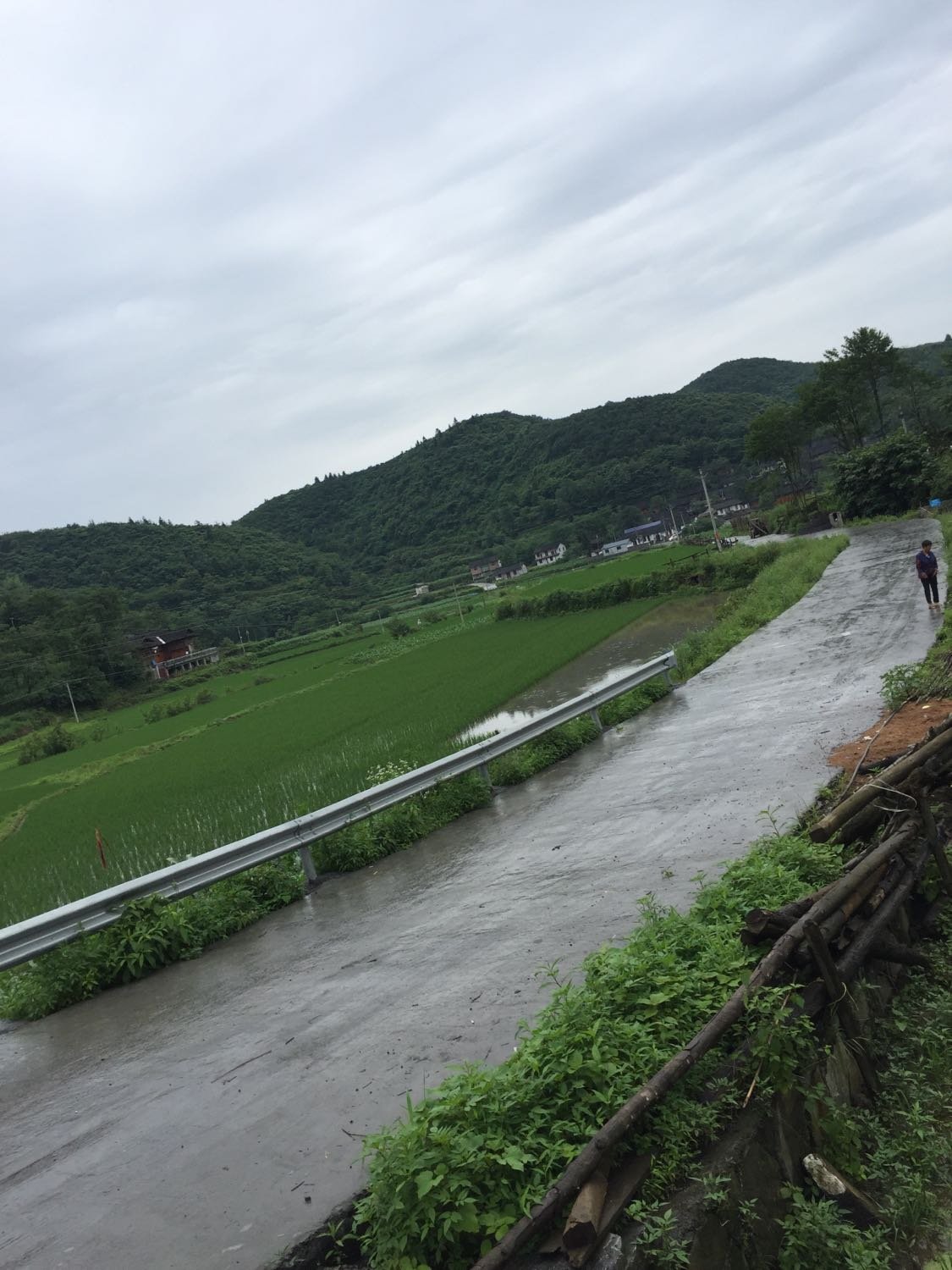 四朗村天气预报更新通知