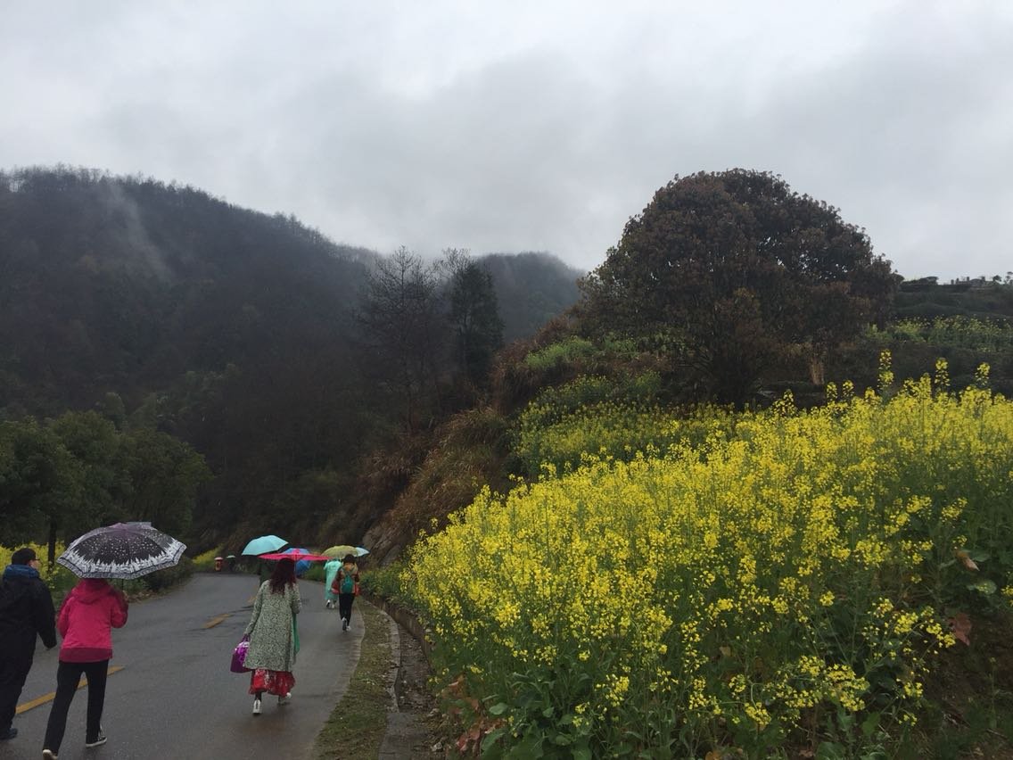 官山镇天气预报更新通知