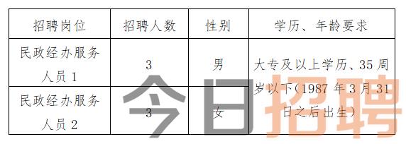 顺庆区民政局最新招聘信息全面解析