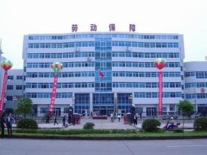 阜阳市劳动和社会保障局创新项目改革，服务民生，助力社会进步