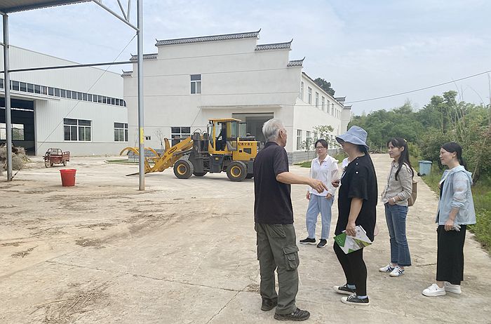 望江镇最新新闻动态