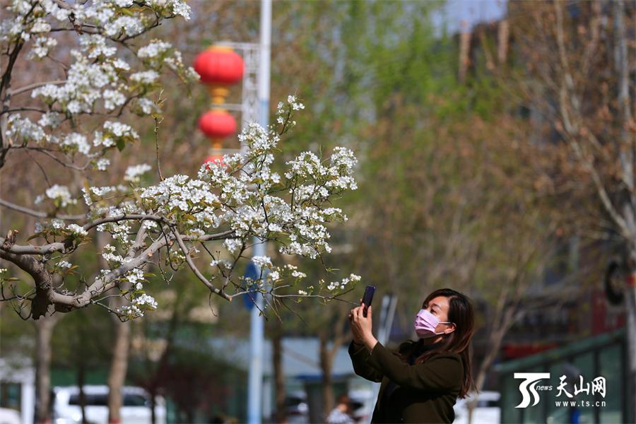 巴音郭楞蒙古自治州市文化局人事任命，塑造文化繁荣新篇章