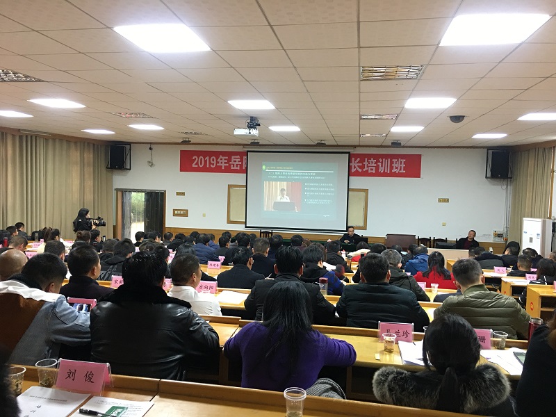 岳阳市市人事局最新人事任命，推动城市发展的新一轮人才布局