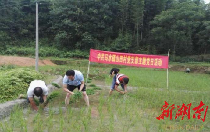 亮源乡全新发展规划揭秘，未来蓝图展望