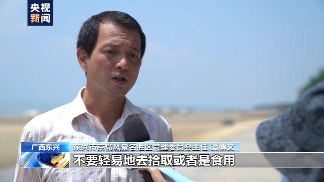 金滩村民委员会最新发展规划概览