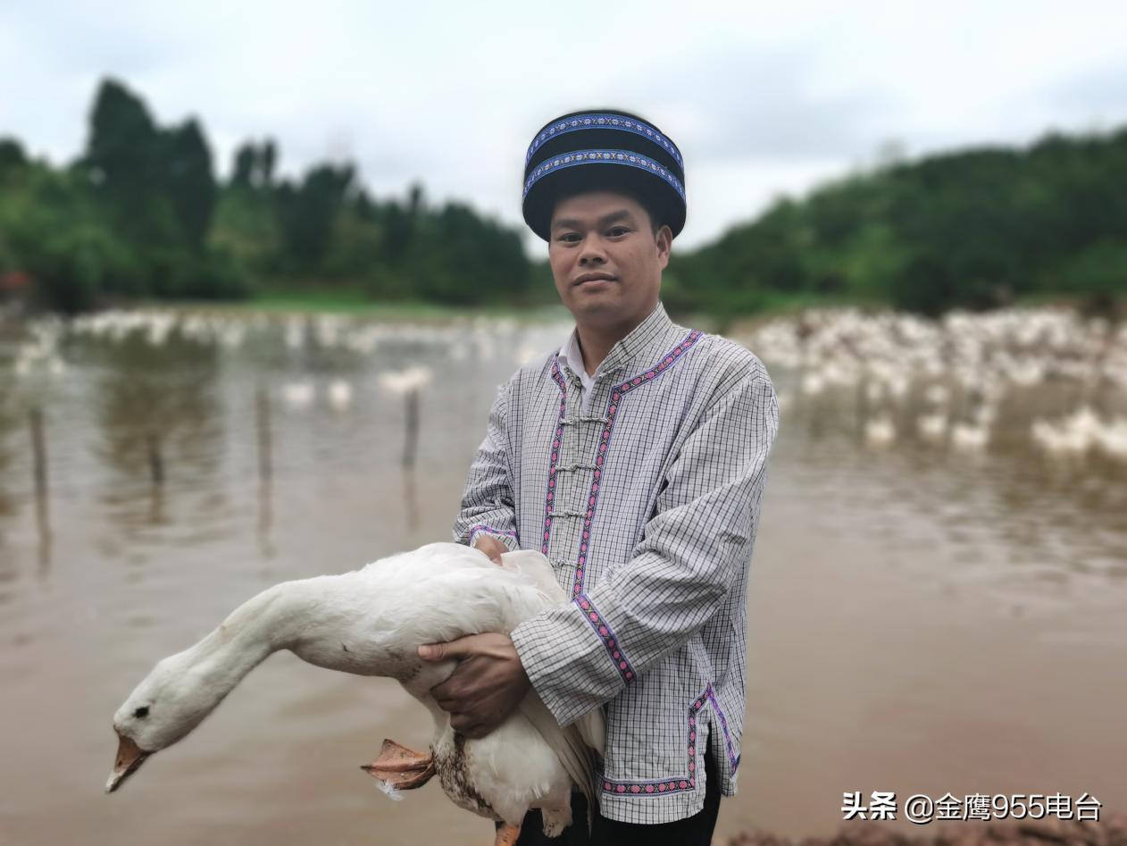 麻阳苗族自治县科学技术和工业信息化局最新项目进展报告