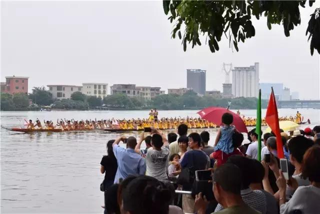 大龙乡未来蓝图，最新发展规划引领乡村重塑